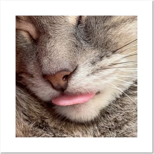 Grey Cat Tongue Blep (gifts) Posters and Art